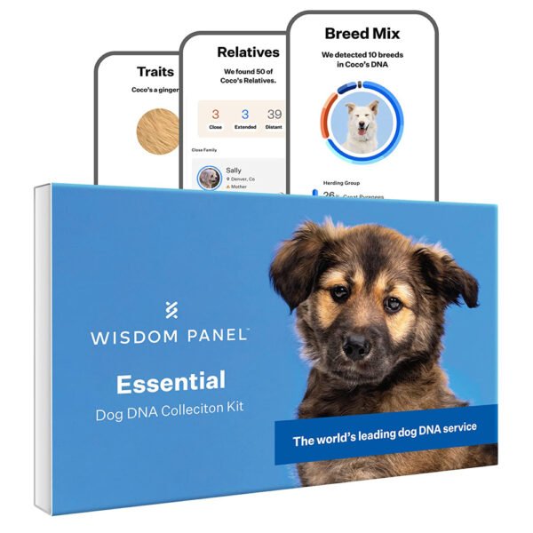 Wisdom Panel Essential: Most Accurate Dog DNA Test Kit for Breed ID and Ancestry